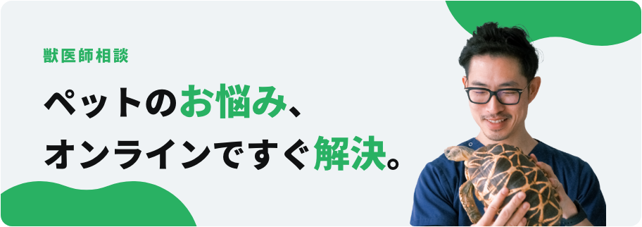 ペットのお悩み、オンラインですぐ解決。